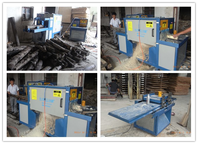 安徽蕪湖-原木多片鋸、清邊機(jī)工作圖