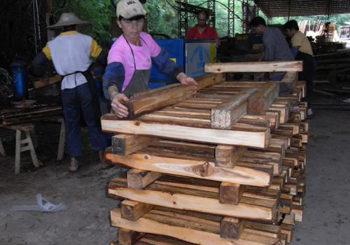 廣東省-惠州方木多片鋸150高加工現場1