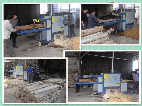 廣東-中山-鋸桉木25原木多片鋸加工現場