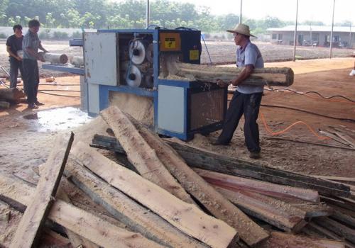海南島-圓木多片鋸25加工現場