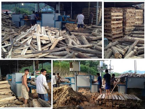 圓木多片鋸-越南-廣寧省-先安250型機加工現場