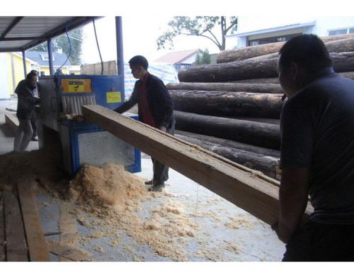 德陽-禾豐鎮-方木多片鋸加工現場1