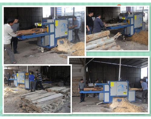 廣東-中山-鋸桉木25原木多片鋸加工現場