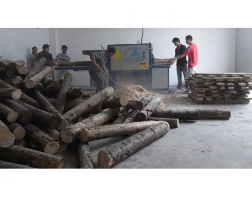 江蘇宿遷泗陽(yáng)-250圓木多片鋸加工現(xiàn)場(chǎng)